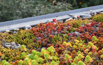the cost of Fourlanes End green roof installation